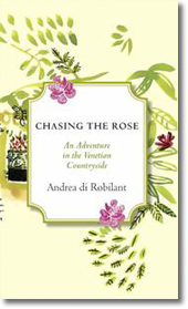 chasing the rose